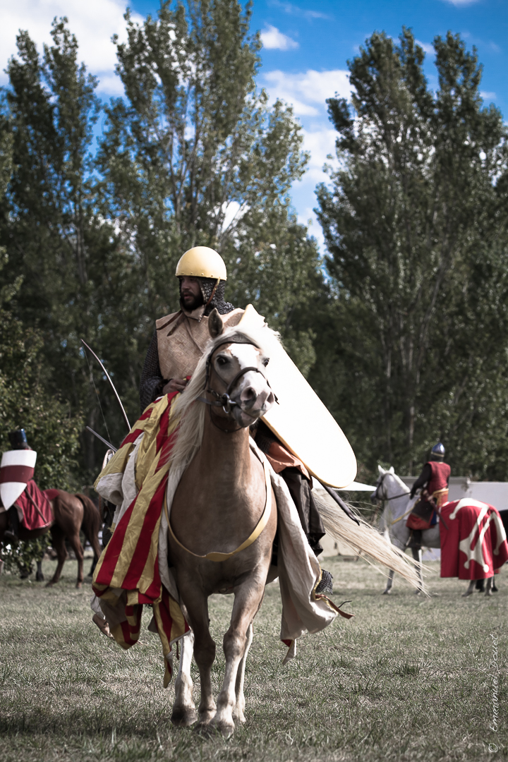 Muret 1213 2013 (40 sur 63)